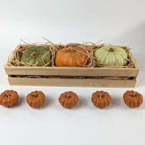 Large Fall Pumpkin Candle Centerpiece 3lb+ 9pc Orange Green Handpainted Decor